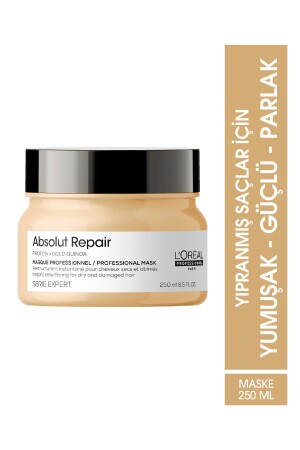 Serie Expert Absolut Repair Reparaturmaske für geschädigtes Haar 250 ml - 1