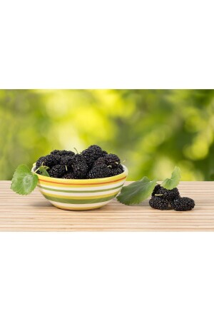 Sevinç Teyze Karadut Özü- Black Mulberry Extract 640g - 3