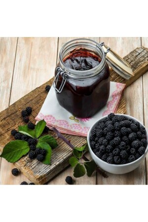 Sevinç Teyze Karadut Özü- Black Mulberry Extract 640g - 4