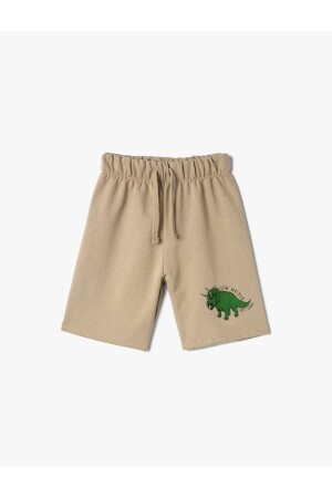 Shorts mit Bindeband in der Taille und Dinosaurier-Print - 1