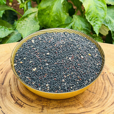 SİYAH HARDAL TOHUMU 200 gram - shifaah