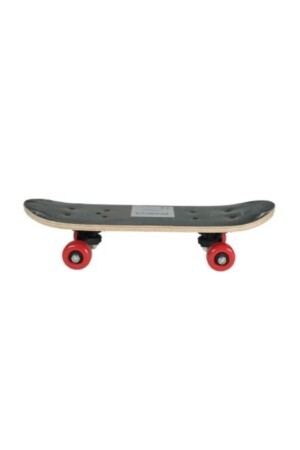 Skateboard Kleine Größe 43 cm Gemustertes Skateboard Aktivitätsspielzeug für Kinder 4 Räder Skateboard Original PRA-5522720-9301 - 2