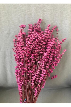 Şoklanmış Dökülmeyen Gerçek Pembe Lavanta Süslük Vazoluk Aranjman Çiçeği - 1