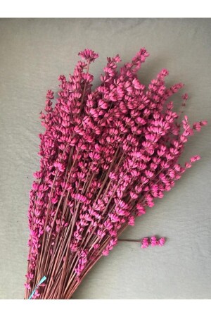 Şoklanmış Dökülmeyen Gerçek Pembe Lavanta Süslük Vazoluk Aranjman Çiçeği - 2