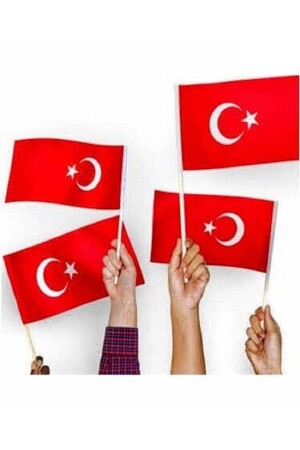 Sopalı Küçük Bayrak - 100 Lü Kağıt Sallama 23 Nisan- 19 Mayıs- 29 Ekim Kutlama Bayrağı - 2