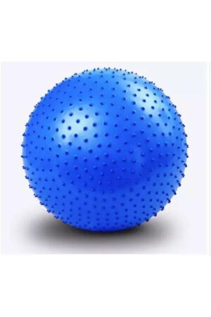 Spiky Yoga Pilates Aerobic Gymnastikball 65 cm Blau + Pumpe frk44557896332 - 1