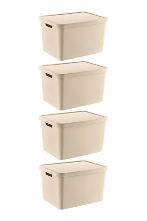 صندوق MNZ-Stafi متعدد الأغراض مع غطاء 18 Lt مجموعة من 4 Latte TRN-236SET2 - SmartWare