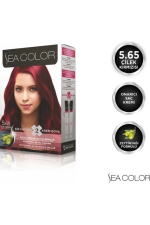 Stellen Sie Farbe 5 ein. 65 Erdbeerrot 8698753381914 - 2