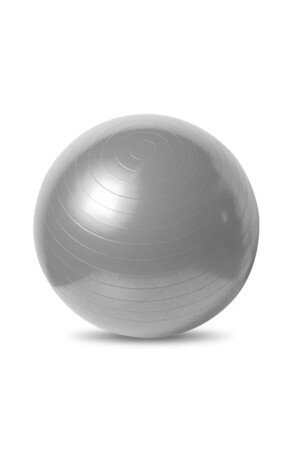 T120 65 cm Pilates Ball/Balance Yoga Sport Gymnastikball Gymnastik Fitness Ball/Aufblaspumpe - 1