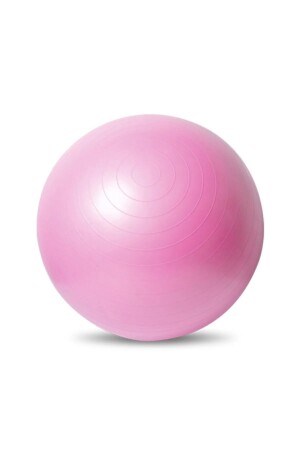 T120 65 cm Pilates Ball/Balance Yoga Sport Gymnastikball Gymnastik Fitness Ball/Aufblaspumpe - 1