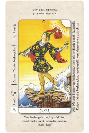 Tarot für Anfänger 9786057698582 - 5