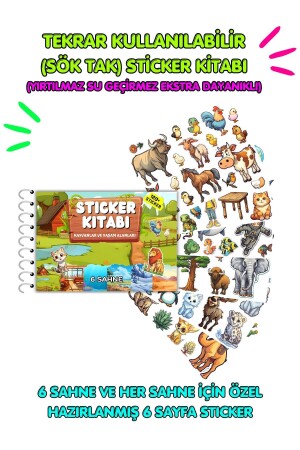 Tekrar Kullanılabilir (SÖK TAK) Sticker Kitabı - Hayvanlar Ve Yaşam Alanları (6 SAYFA STİCKER) - 3