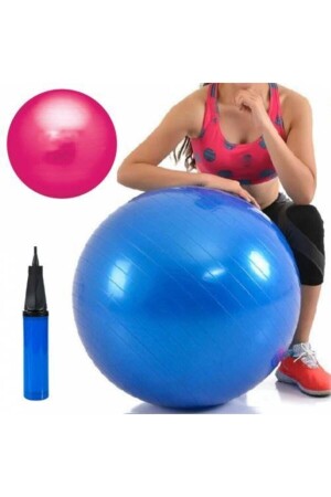 Tellerballpumpe 65 cm und Balanceball 20 cm mit Geschenk - 2