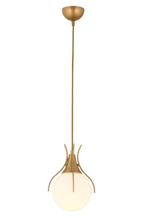 Terra Single Antik Pendelleuchte Modern Sports Young Room, Küche Wohnzimmer Pendelleuchte Kronleuchter 3759-01-FR - 6