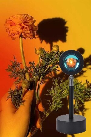 مصباح الطاولة المضيء من خلال القناة من خلال القناة من خلال القناة من خلال القناة من خلال القناة من خلال القناة من خلال القناة من خلال القناة - The Mobile