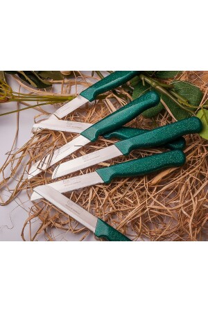 Tırtıklı 1 Kalite Meyve Sebze Bıçağı 6 Adet 2130k. - Solingen