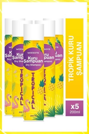 Tropisches Trockenshampoo 200 ml 5 Stück - 1