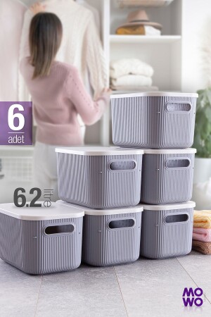 Trove 6 Stück 6. 2 Lt (grau) Organizer-Box mit Deckel, dekorative Aufbewahrungsbox MOWO-01-331-6 - 2