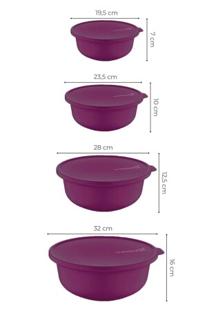 Tupy Schüssel mit Deckel, 4er-Set, Lila, TYC00532246459 - 4