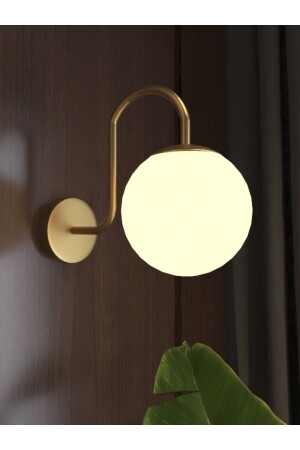 صناعة عصرية من الزجاج المرن TYC00825842393 - avizade