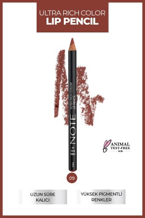 Ultra Rich Colour Lip Pencil 09 Dried Rose – Nude - 2