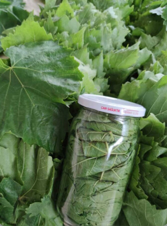 Üzüm Yaprağı (Kuru Basım) - 350-400gr - Halal