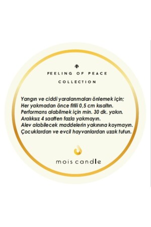 Vanille-Duftglaskerze PRFNMUM - 4
