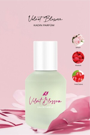 Velvet Blossom Damenparfüm Edp 50 ml - 1