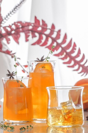 Vera 6'lı Su Bardağı - Lav