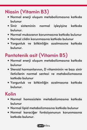 Vitamin B Complex 50 Kapsül B1- B2- B3- B5- B6- B12 Vitaminleri- Kolin- İnositol- Folik Asit- Biotin - 6