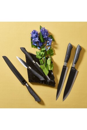 Viva 5 Parça Bıçak Seti - Jumbo