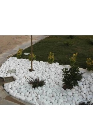 Weißer Dolomitstein 25 kg 2–4 cm Flusskies für Gartendekoration und Aquariumdekoration PKTM1453 - 1