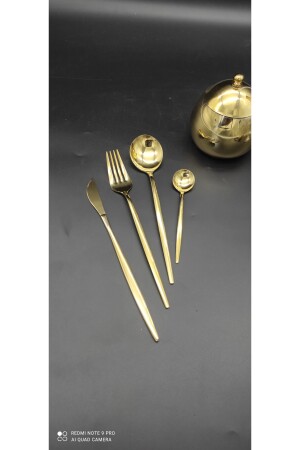 Wessenburg Thessaloniki 24-teiliges mehrteiliges Titan-Gold-Set CMDSLK005 - 5