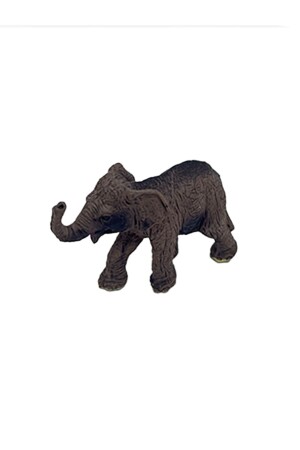 Wilde Tiere - Elefant - 1