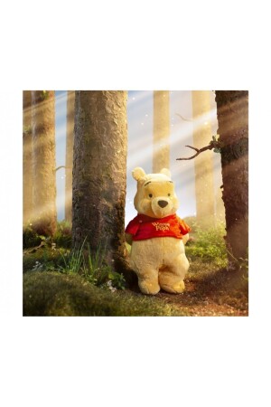 Winnie The Pooh Ayı Winnie Lisanslı Oyuncak Peluş 35 Cm SUN-PDP1100043 - 5