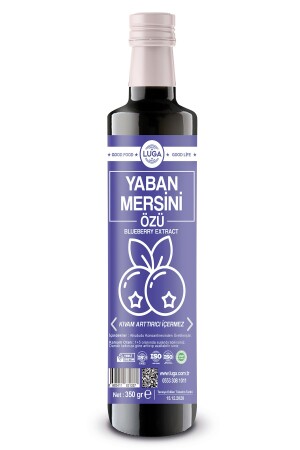 Yaban Mersini Özü 350 gr Blueberry Extract - 2