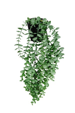 Yapay Çiçek Moblen Mika Elmas Siyah Saksıda Yeşil Okaliptus Sarkıtı - 1