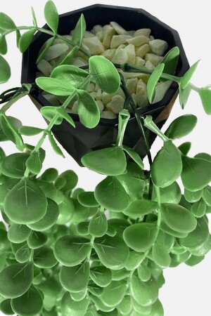 Yapay Çiçek Moblen Mika Elmas Siyah Saksıda Yeşil Okaliptus Sarkıtı - 2