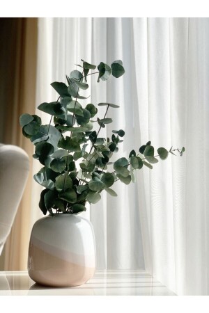 (منز) - مجموعة من الأوكاليبتوس المصدومة الكبيرة - Yapay Çiçekçiniz