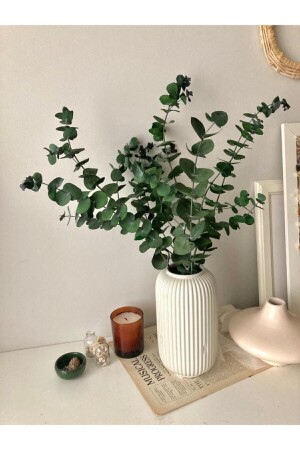 Yeşil Okaliptus Yaprak Şoklanış (5 Dal Yaprak) - 1
