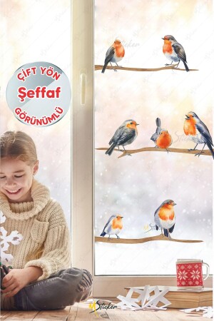 Yılbaşı Kış Kuşları Ve Dallar Cam Duvar Sticker Seti - Yılbaşı Seti Şeffaf - Msticker