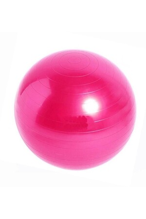 Yoga Pilates Aerobic Gymnastikball 55 cm - 1