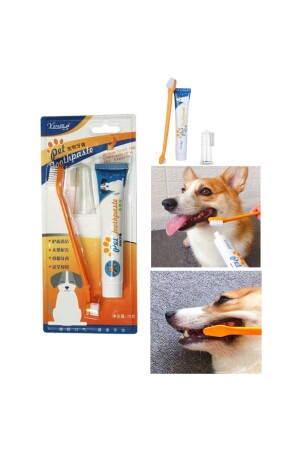 Zahnbürsten- und Zahnpasta-Set für Katzen und Hunde, essbare Zahnpasta, Dental-Set, Mund- und Zahngesundheitsset - 1